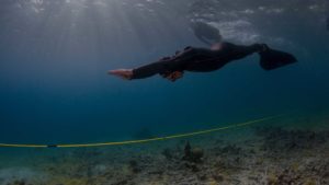 padi freediver