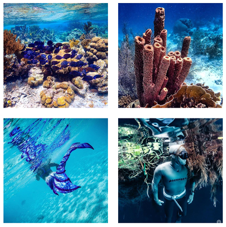 gabyocean, Professional Underwater Photos and Video Shoot