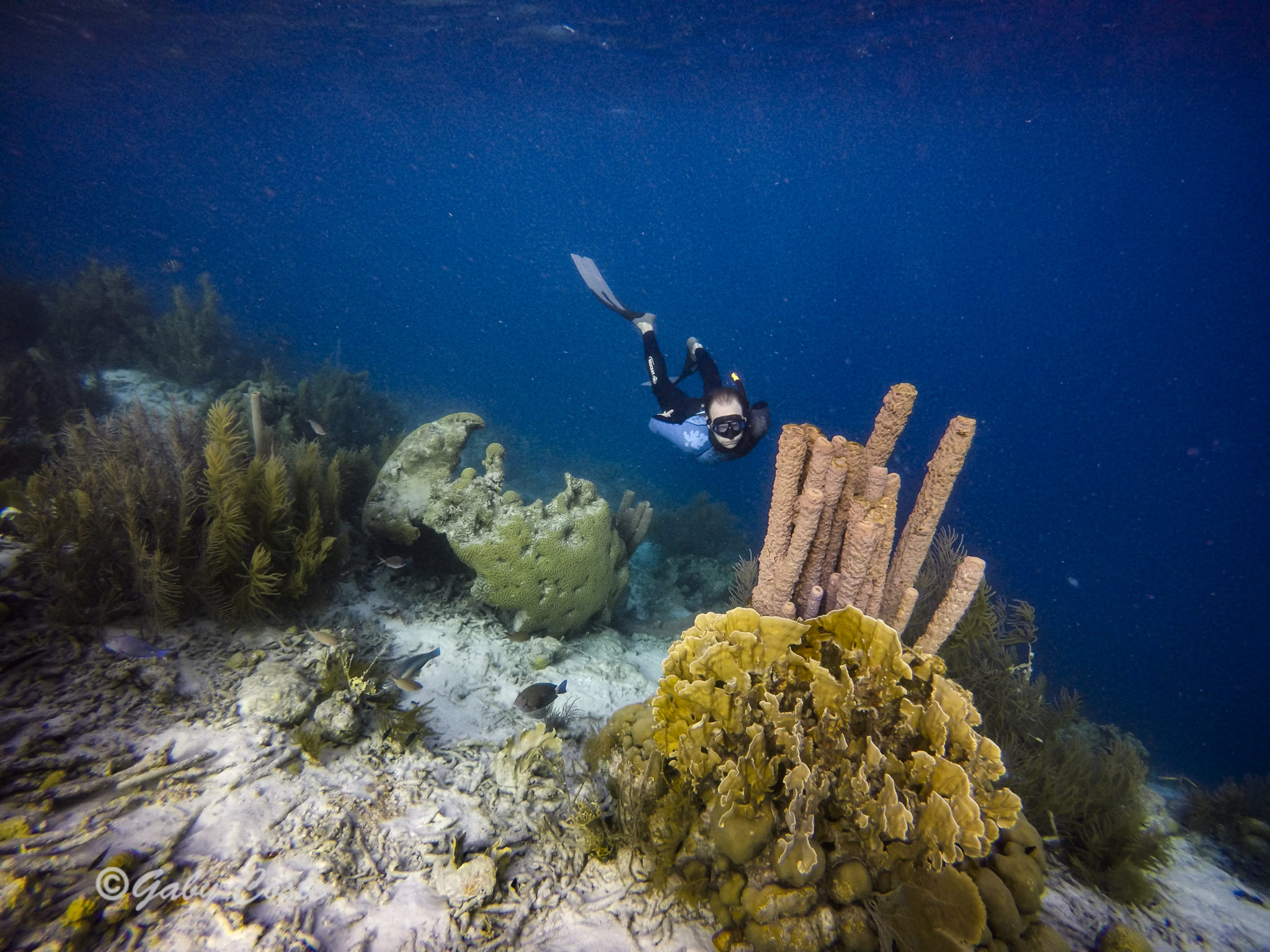 gabyocean, Professional Underwater Photos and Video Shoot
