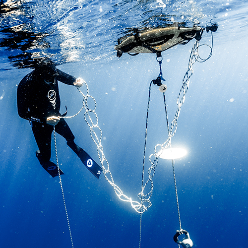 aida freediving courses